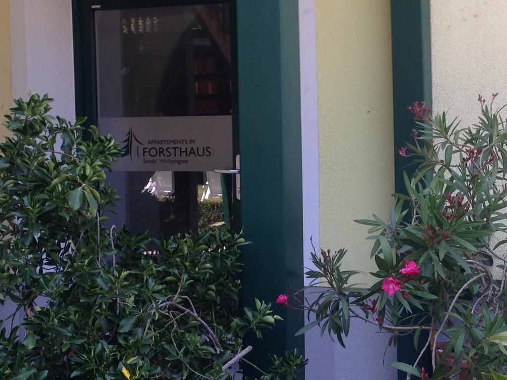 Appartements Im Forsthaus Strobl Bagian luar foto