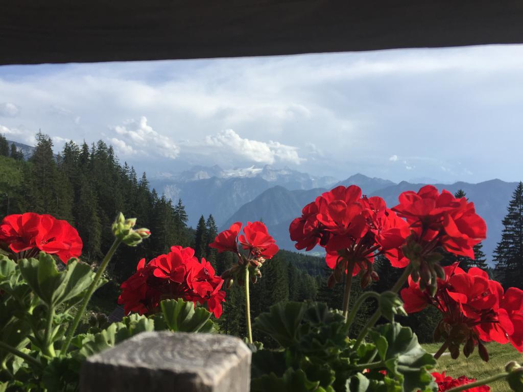 Appartements Im Forsthaus Strobl Bagian luar foto