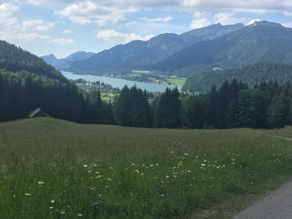 Appartements Im Forsthaus Strobl Bagian luar foto