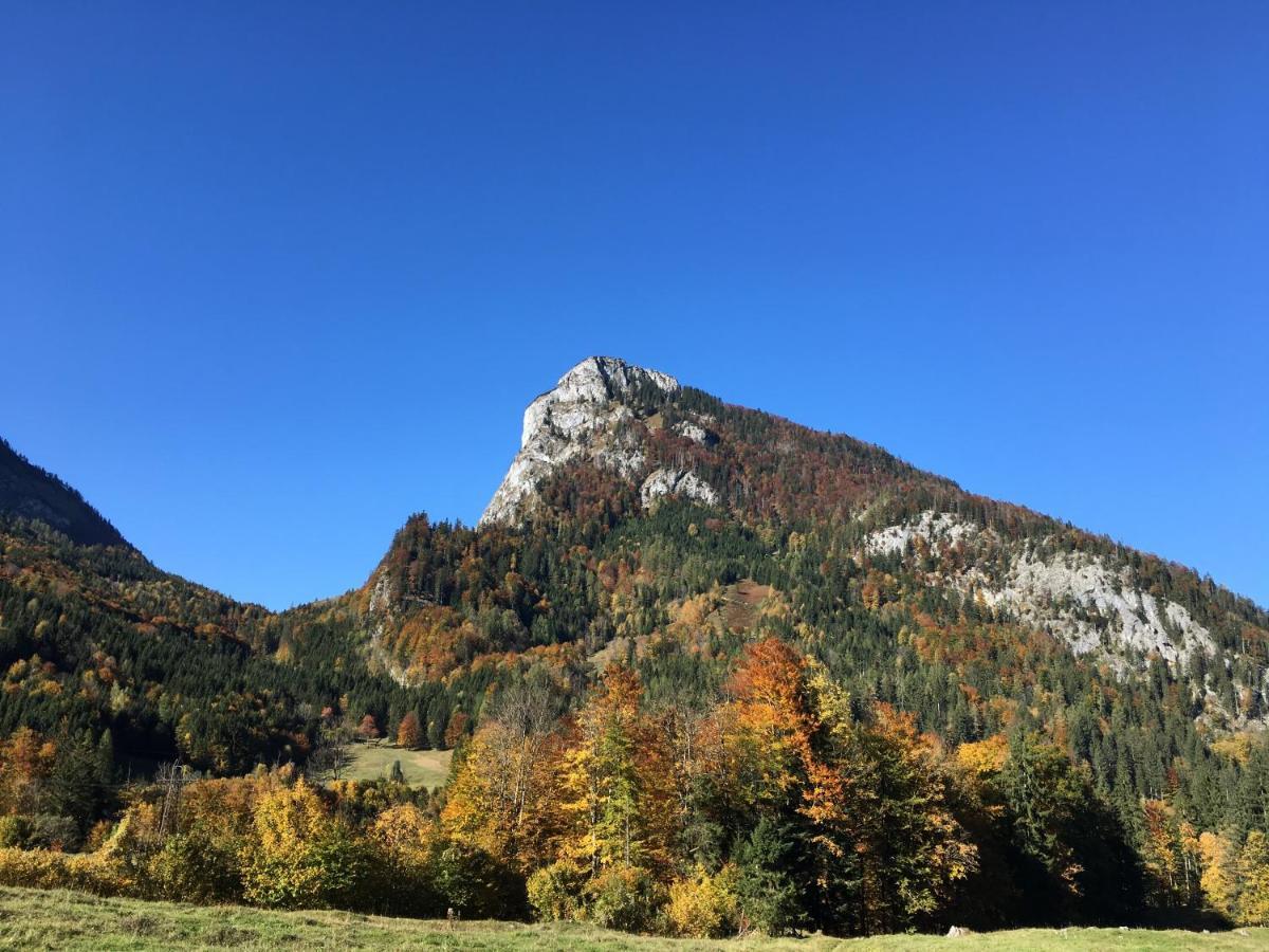 Appartements Im Forsthaus Strobl Bagian luar foto