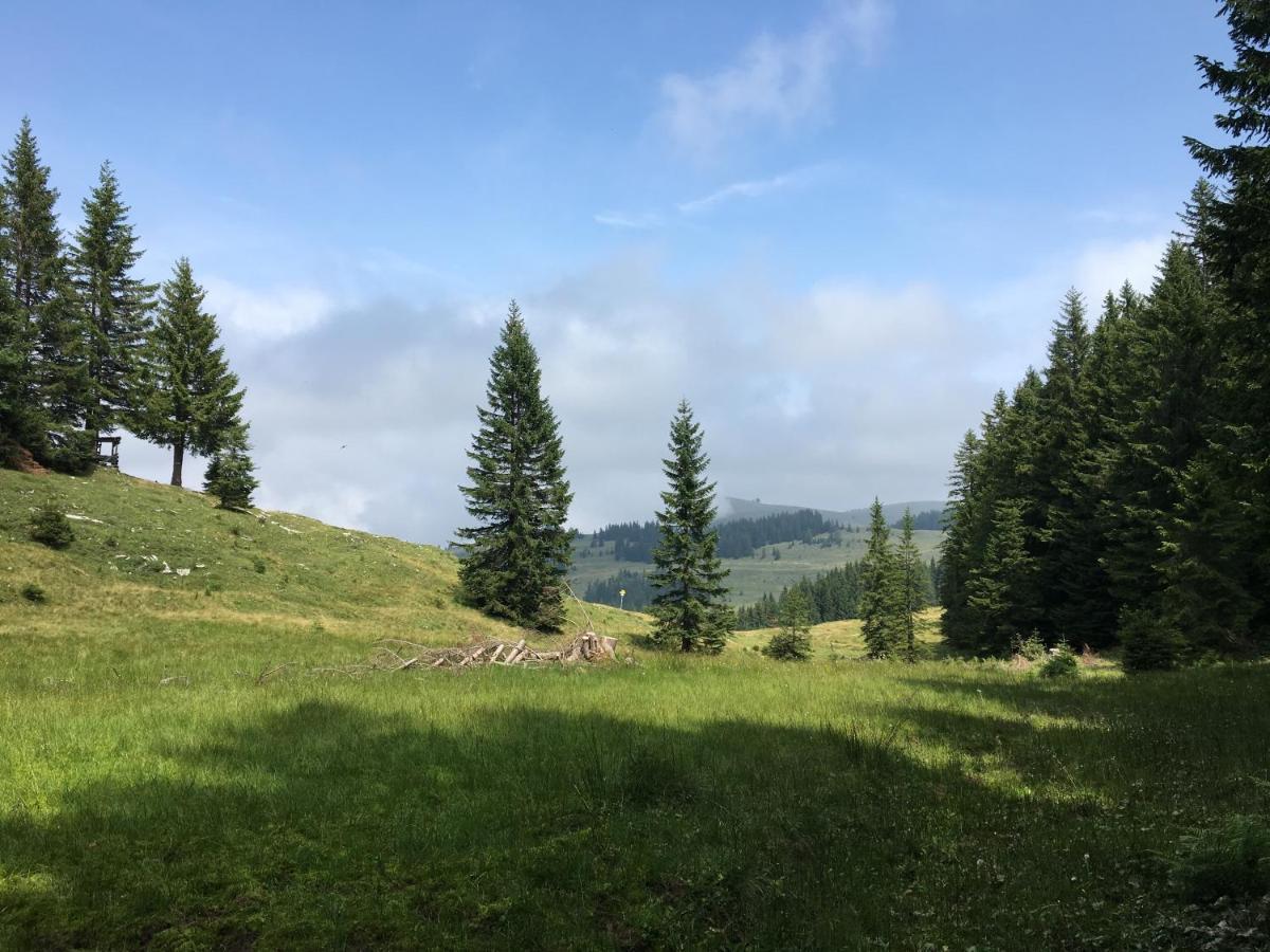 Appartements Im Forsthaus Strobl Bagian luar foto